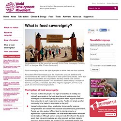 What is food sovereignty?