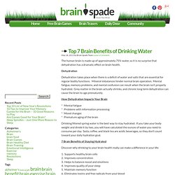 Brain SpadeTop 7 Brain Benefits of Drinking Water - Brain Spade