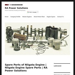 Spare Parts of Niigata Engine