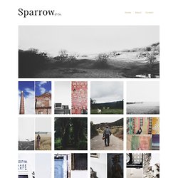 Sparrow & Co.