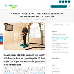 5 Advantages of Routine Carpet Cleaning in Spartanburg, South Carolina
