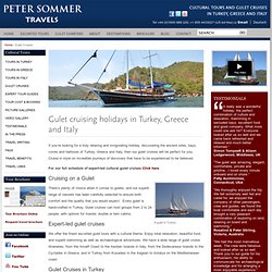 Peter Sommer Travels