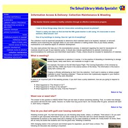 The School Library Media Specialist: Information Access & Delivery