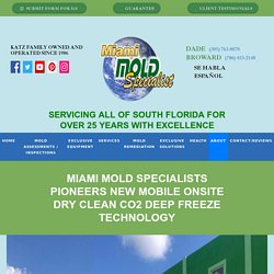 Miami Mold Specialists Pioneers New Mobile Onsite Dry Clean CO2 Deep Freeze Technology