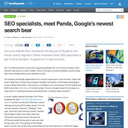 SEO specialists, meet Panda, Google's newest search bear