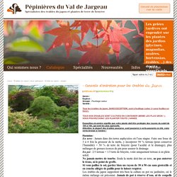 Pépinière du val de jargeau - Spécialité érable du Japon - ERABLE, HOUX, AZALEE, BRUYERES, RHODODENDRONS