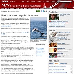 New species of dolphin discovered