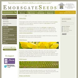 Emorsgate Seeds – (01553) 829 028