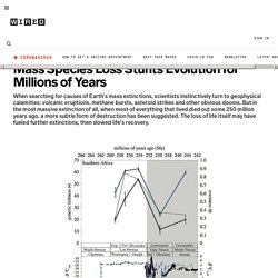 Mass Species Loss Stunts Evolution for Millions of Years