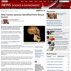 New human species identified from Kenya fossils