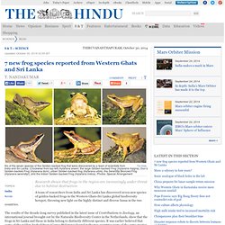 7 new frog species reported from Western Ghats and Sri Lanka