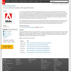 Cross-domain policy file specification