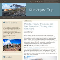 kilimanjaro Trekking