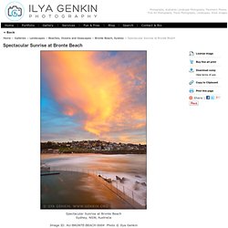 Spectacular Sunrise at Bronte Beach, Sydney, NSW, Australia Images