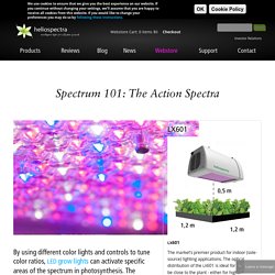 Spectrum 101: The Action Spectra