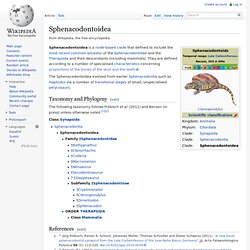 Sphenacodontoidea