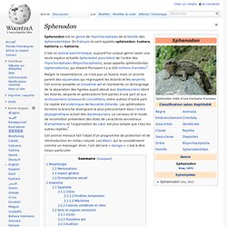 Sphenodon