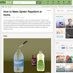 How to Make Spider Repellent at Home: 12 Steps