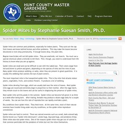 Spider Mites by Stephanie Suesan Smith, Ph.D. 