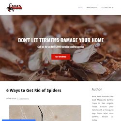 6 Ways to Get Rid of Spiders - Termite, Bed Bug, Mosquito, Rodent, Pest Control, Traps