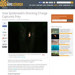 Spiderwebs Lure Prey Through Charged Attraction