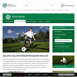  DFB - Deutscher Fußball-Bund e.V.