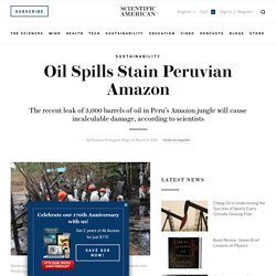Oil Spills Stain Peruvian Amazon