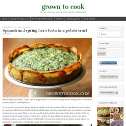 Spinach and spring herb torta in a potato crust