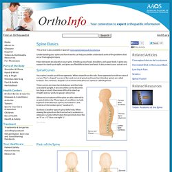 Spine Basics - Your Orthopaedic Connection