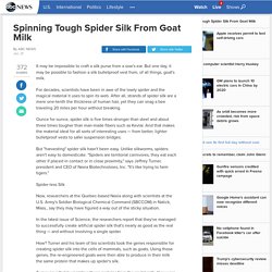 Spinning Tough Spider Silk From Goat Milk