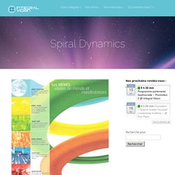 Spiral Dynamics - Integral Vision