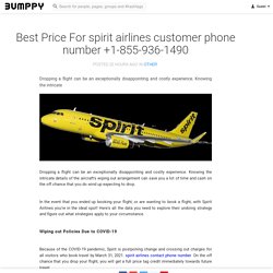 Best Price For spirit airlines customer phone number +1-855-936-1490
