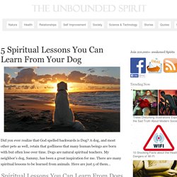 5 Spiritual Lessons You Can Learn From Your Dog