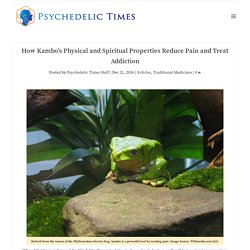 How Kambo’s Physical and Spiritual Properties Reduce Pain and Treat Addiction