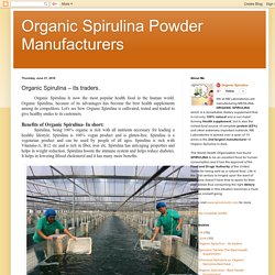 Organic Spirulina Powder Manufacturers: Organic Spirulina – its traders.