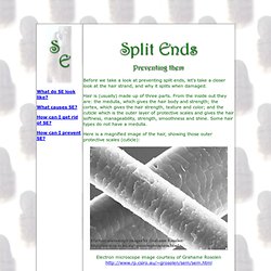 Split Ends - Preventing them