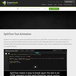 SplitText HTML5 text animation using javascript