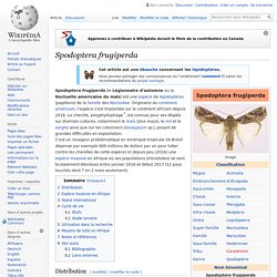 WIKIPEDIA - Spodoptera frugiperda.