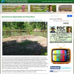 Spontaneous Organization for Polyculture