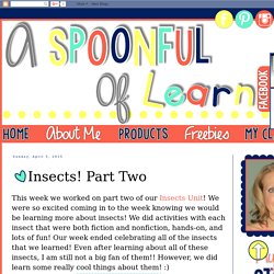 A Spoonful of Learning: Insects! Part Two