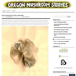 How to and how not to take a spore print