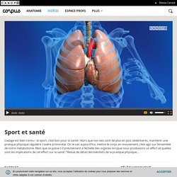 Sport et santé - Corpus - réseau Canopé