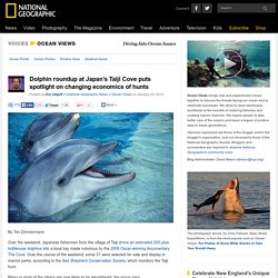Dolphin roundup at Japan’s Taiji Cove puts spotlight on changing economics of hunts
