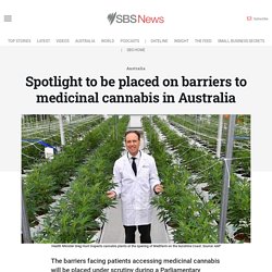 Spotlight to be placed on barriers to medicinal cannabis in Australia