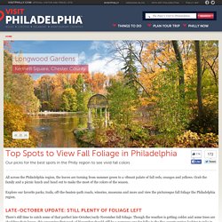 Top Spots to View Fall Foliage in Philadelphia