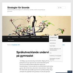 Språkutvecklande undervisning på gymnasiet