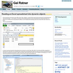 Reading an Excel spreadsheet into dynamic objects - .NET Development - Gal Ratner