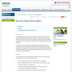 SPRING - Business Angel Scheme (BAS)