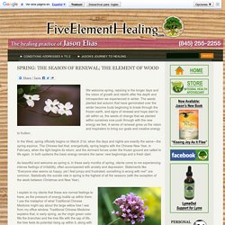SPRING: The Season of Renewal; the element of Wood « Five Element Healing