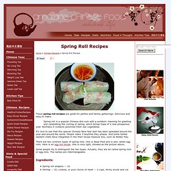 Spring Roll Recipes